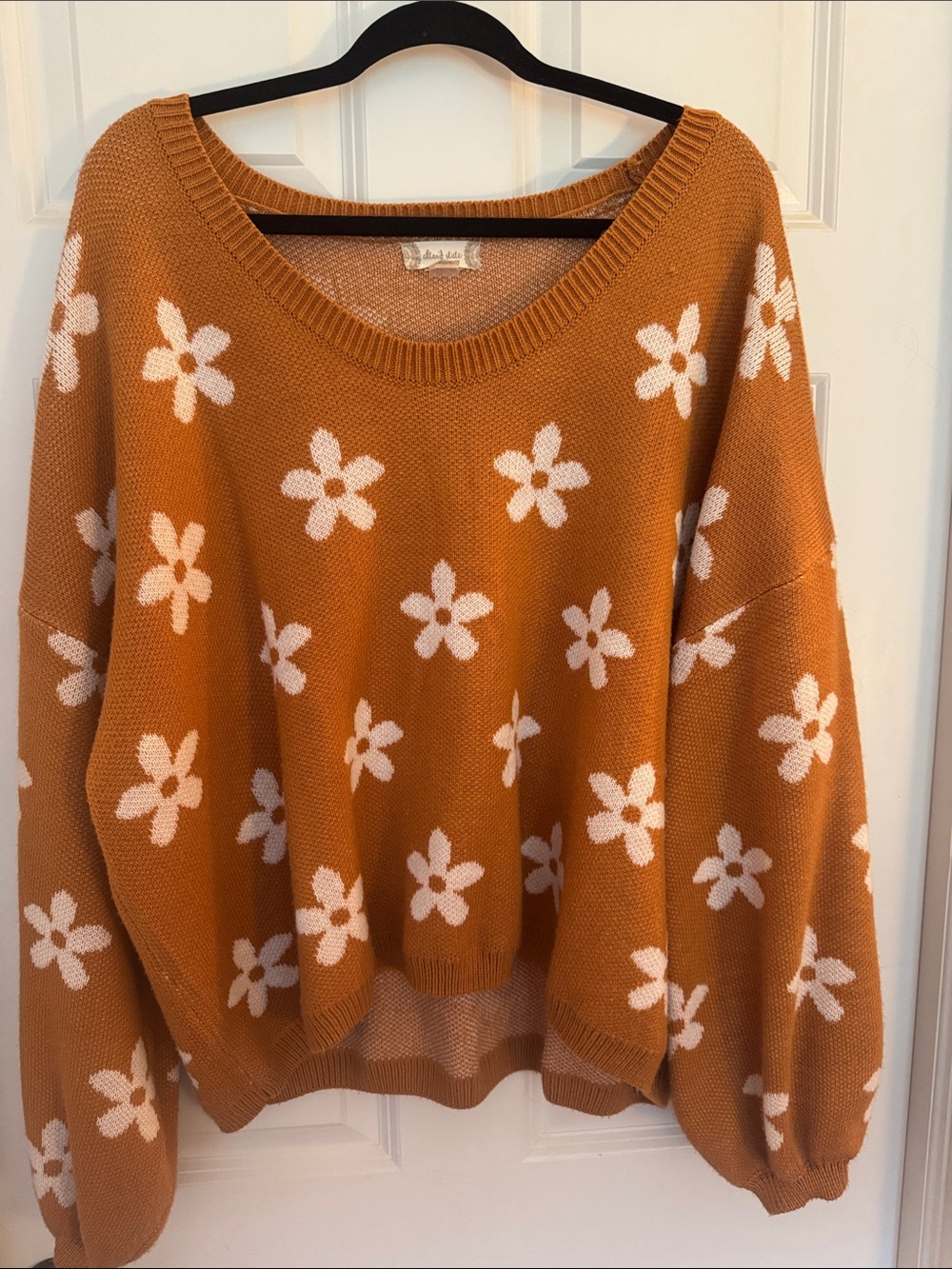Altar'd State Rust Floral Crewneck Sweater with White Daisies